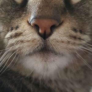 Meet your Posher, Lacey